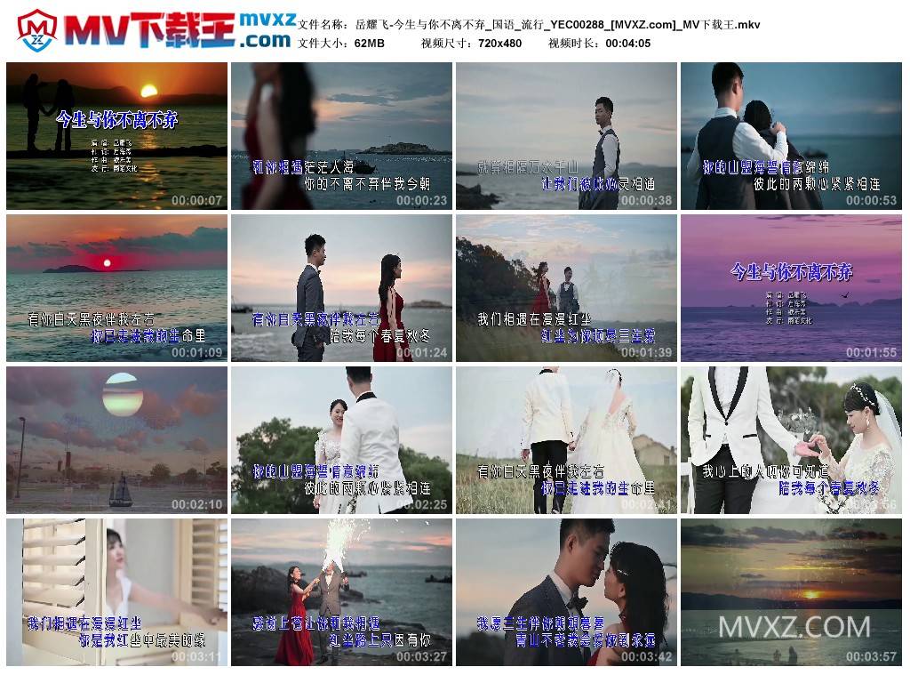 岳耀飞-今生与你不离不弃_国语_流行_YEC00288